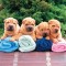 1271612525_1271393809_doseng.org_these_funny_animals_640_06.jpg