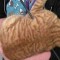 1328171340_kupidon_03.jpg