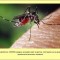 facts-facts-facts-05.jpg