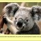 facts-facts-facts-06.jpg