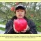 facts-facts-facts-07.jpg
