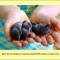 facts-facts-facts-11.jpg