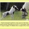 facts-facts-facts-15.jpg