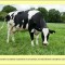 facts-facts-facts-16.jpg