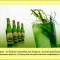facts-facts-facts-29.jpg