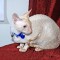 DSC_5328.JPG