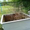 yolochka._07.07.11._pora_uzhe....jpg