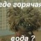 Как быть?...