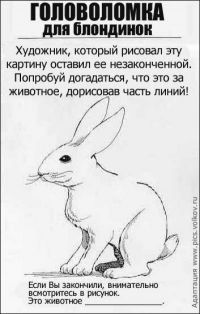 заяц заяц