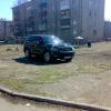 финик 