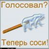голосовал