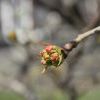 IMG 4104