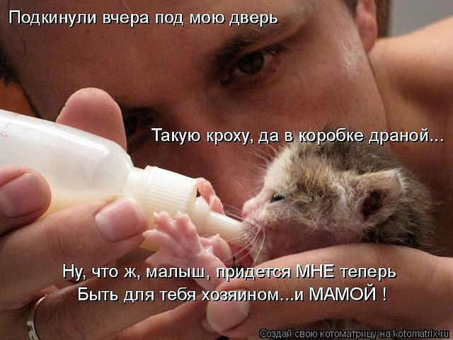 Вызывает чувства 