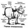 внедорожник внедорожник