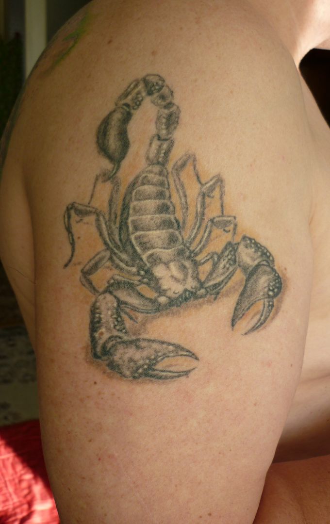 Skorpion zazhivshiy 2