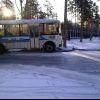 Утром 01-11-11. Светофор в нокауте Утром 01-11-11. Светофор в нокауте