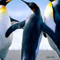 Катя Иванова