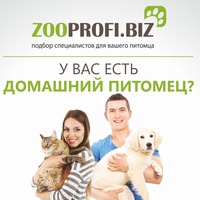 Zoo Profi