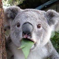 Елизар Сербаев