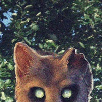 Павел Богданов