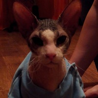 Дмитрий Михайлов