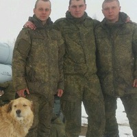 Александр Тамаровский