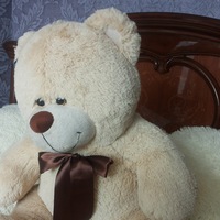 Екатерина Карпова