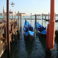 Наталья Самородова