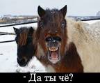 Андрей90 Андрей90
