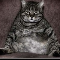 Дмитрий Нечаев