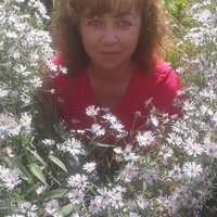 Елена Арсентьева