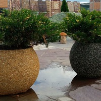 Василий Шмидт