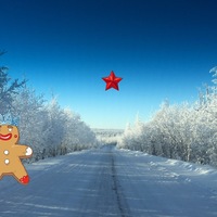 Григорий Пряничников