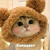 Люся Тихан Люся Тихан
