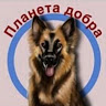 Аватарка участника Планета Добра