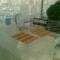 13022010011.jpg
