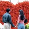 17700381_1777_070318_flowers1.jpg