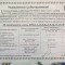 21072010080.jpg