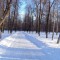 Yaroslavl_Butusovskiy_park.JPG
