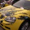 1329045065_1204845859_izobrazhenie-010.jpg