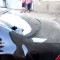 382-p19o0or4dn5buj1ejk81tq3rkm4.jpg