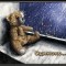 553417_prosti-.thumbnail.jpg