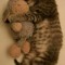 1326789775_skzh-25-17-362x620.jpg