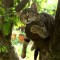 1326790380_1290311048_sleepy-13.jpg