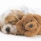 1326790410_1290311072_sleepy-1.jpg