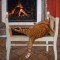 1326790448_1290311005_sleepy-5.jpg
