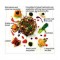 1328951246_food_11.jpg