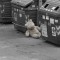 fc6dab421bb87d5261328647e93ee8d9-odinochestvo.jpg