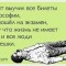 96437414bc1afb9cd86ca284a3e69f7d-aob.jpg