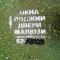 0f05330dbf8b66f6bb2a344db4187b3a-foto0572.jpg